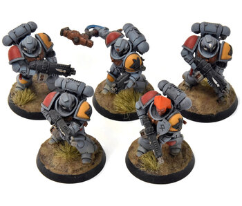SPACE WOLVES 5 Intercessors #3 Warhammer 40K WELL PAINTED
