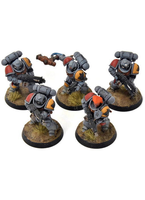SPACE WOLVES 5 Intercessors #3 Warhammer 40K WELL PAINTED