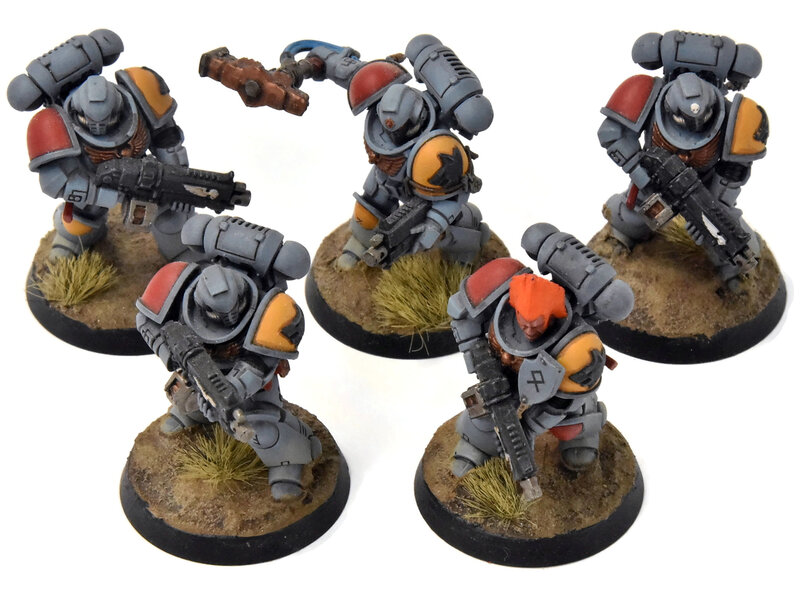 Games Workshop SPACE WOLVES 5 Intercessors #3 Warhammer 40K WELL PAINTED