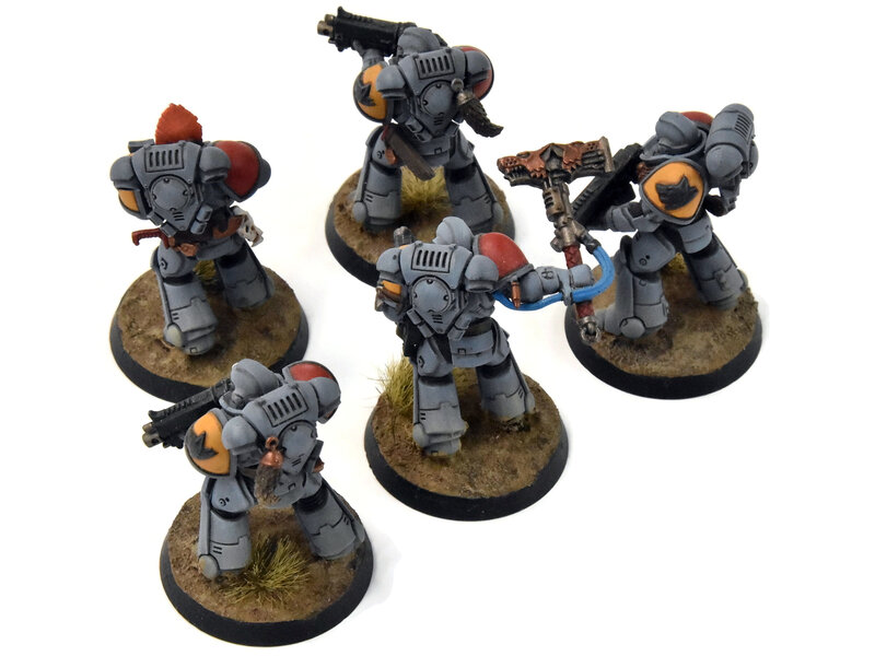 Games Workshop SPACE WOLVES 5 Intercessors #3 Warhammer 40K WELL PAINTED