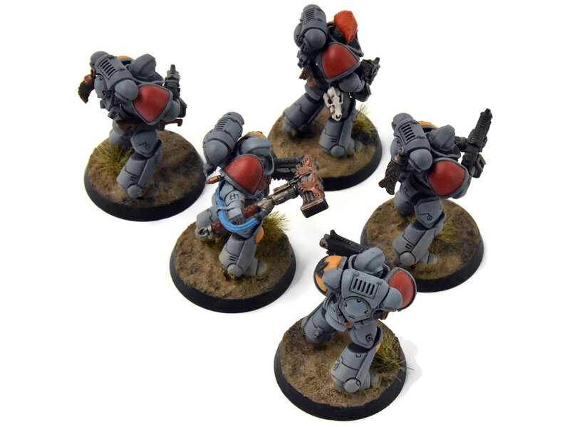 Games Workshop SPACE WOLVES 5 Intercessors #3 Warhammer 40K WELL PAINTED