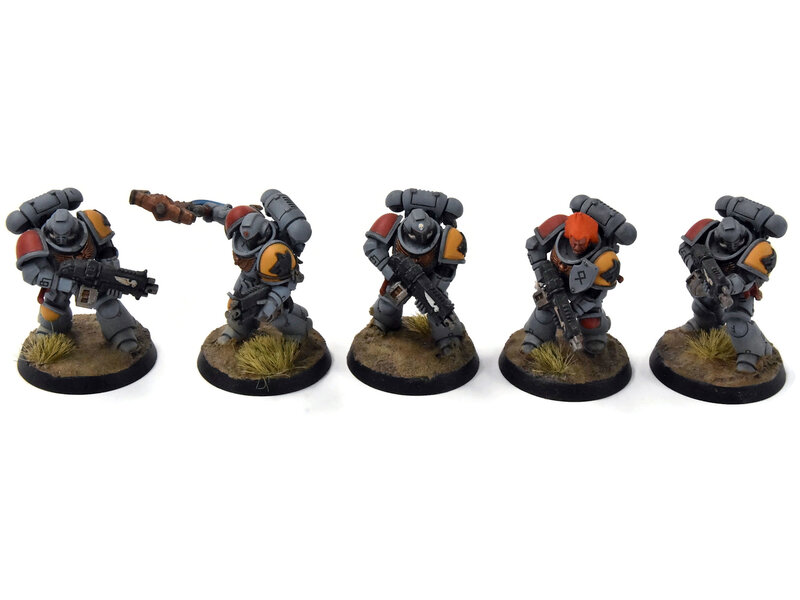 Games Workshop SPACE WOLVES 5 Intercessors #3 Warhammer 40K WELL PAINTED