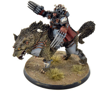 SPACE WOLVES Canis Wolfborn #1 WELL PAINTED Warhammer 40K