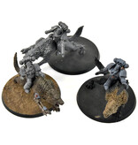 Games Workshop SPACE WOLVES Thunderwolf Cavalry #2 Warhammer 40K