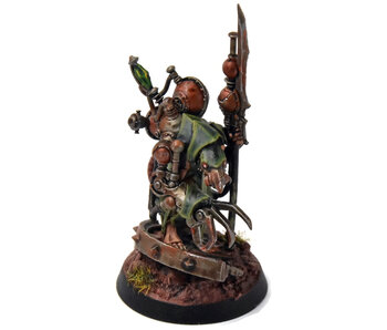 SKAVEN Arch-Warlock #1 PRO PAINTED Warhammer Sigmar