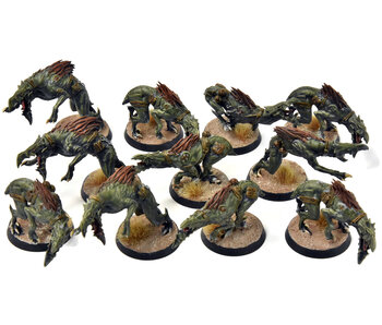 TAU EMPIRE 11 Kroot Hounds #3 Warhammer 40K WELL PAINTED