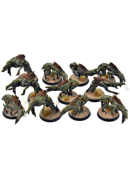 TAU EMPIRE 11 Kroot Hounds #3 Warhammer 40K WELL PAINTED