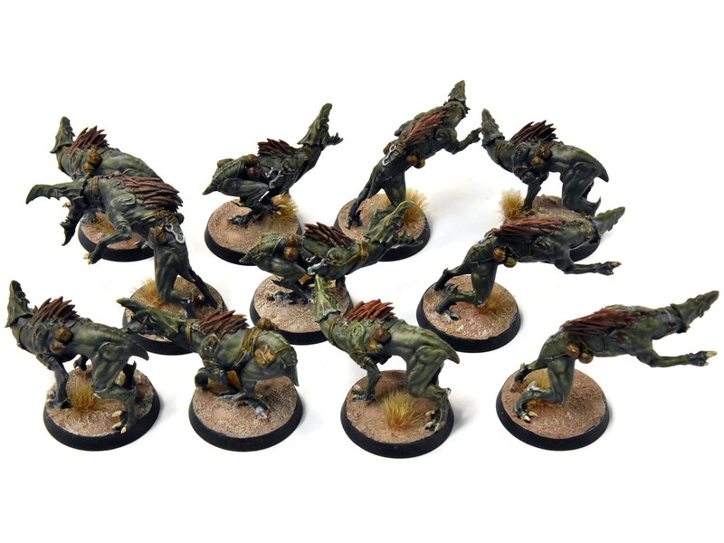 Games Workshop TAU EMPIRE 11 Kroot Hounds #3 Warhammer 40K WELL PAINTED