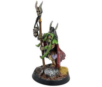 BEASTS OF CHAOS Great-Bray Shaman #1 WELL PAINTED Warhammer Sigmar