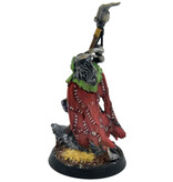 Games Workshop BEASTS OF CHAOS Great-Bray Shaman #1 WELL PAINTED Warhammer Sigmar