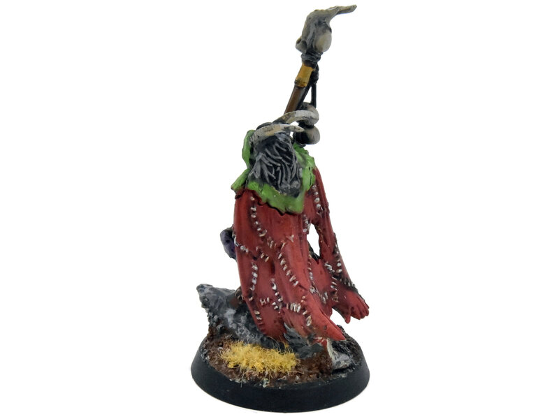 Games Workshop BEASTS OF CHAOS Great-Bray Shaman #1 WELL PAINTED Warhammer Sigmar