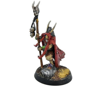 BEASTS OF CHAOS Great-Bray Shaman #2 WELL PAINTED Warhammer Sigmar