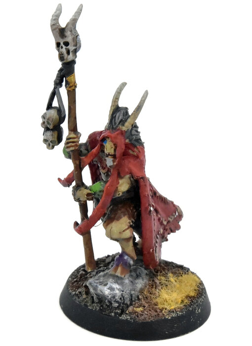 BEASTS OF CHAOS Great-Bray Shaman #2 WELL PAINTED Warhammer Sigmar
