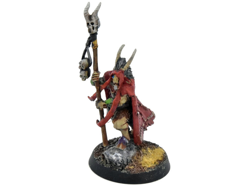 Games Workshop BEASTS OF CHAOS Great-Bray Shaman #2 WELL PAINTED Warhammer Sigmar