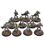 Games Workshop NECRONS 10 Warriors #2 WELL PAINTED Warhammer 40K