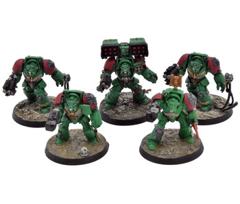SPACE MARINES 5 Terminators #5 Warhammer 40K WELL PAINTED Salamanders