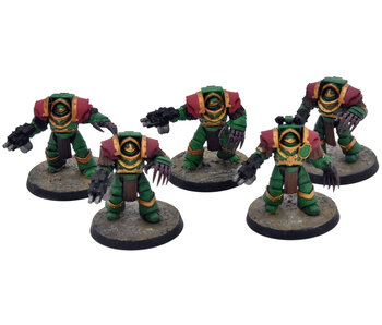 SPACE MARINES Horus Heresy 5 Cataphractii Terminators #2 WELL PAINTED 40K