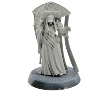 CURSED CITY Cleona Zeitengale #1 Warhammer Sigmar