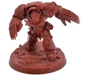 SPACE MARINES Terminator  #2 Warhammer 40K Heroes BROTHER SANYCTUS