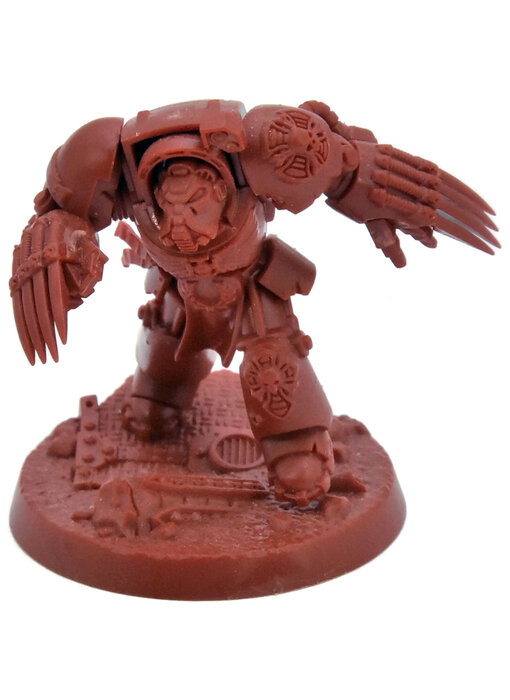 SPACE MARINES Terminator  #2 Warhammer 40K Heroes BROTHER SANYCTUS