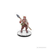 Wizkids D&D Classic Collection - Monsters S - T