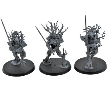 SYLVANETH 3 Kurnoth Hunters #1 Warhammer Sigmar