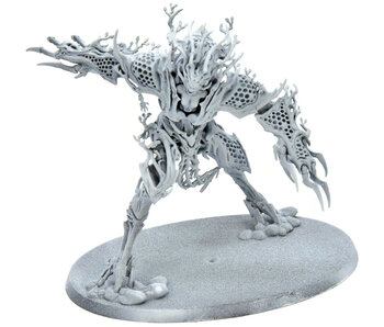 SYLVANETH Drycha #1 Warhammer Sigmar