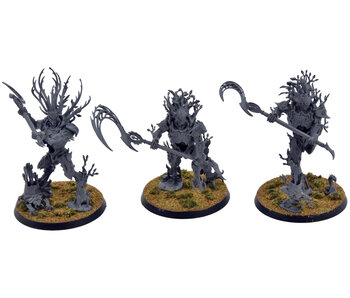 SYLVANETH 3 Kurnoth Hunters #1 Warhammer Sigmar