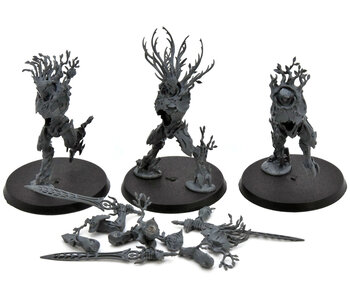 SYLVANETH 3 Kurnoth Hunters #2 Warhammer Sigmar