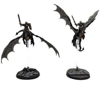 STORMCAST ETERNALS 2 Stromdrake Guard #1 WELL PAINTED Warhammer Sigmar