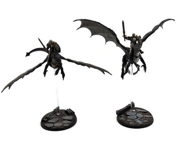 STORMCAST ETERNALS 2 Stromdrake Guard #2 WELL PAINTED Warhammer Sigmar