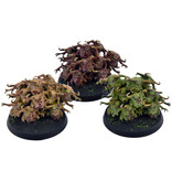 Games Workshop MAGGOTKIN OF NURGLE 3 Nurglings #2 WELL PAINTED Warhammer Sigmar