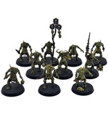 Games Workshop MAGGOTKIN OF NURGLE 10 Plaguebearers #6 WELL PAINTED Warhammer Sigmar