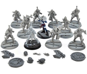 BLOOD BOWL Dark Elves Team #1 Missing Wych Elf Warhammer Fantasy