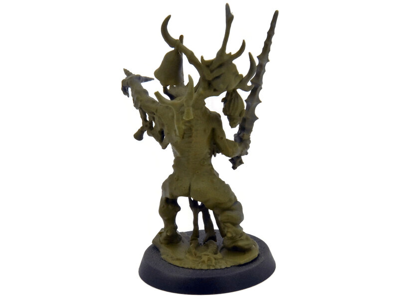 Games Workshop MAGGOTKIN OF NURGLE Poxbringer Herald Of Nurgle #1 Warhammer Sigmar