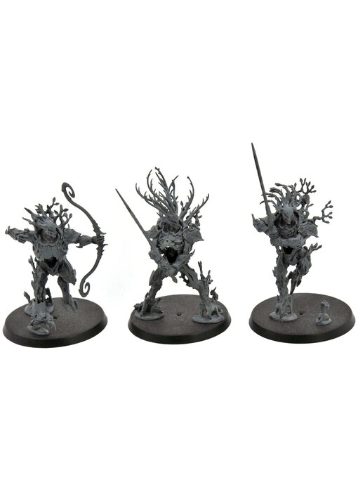 SYLVANETH 3 Kurnoth Hunters #1 Warhammer Sigmar
