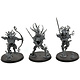 SYLVANETH 3 Kurnoth Hunters #1 Warhammer Sigmar