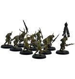 Games Workshop MAGGOTKIN OF NURGLE 10 Plaguebearers #5 WELL PAINTED Warhammer Sigmar