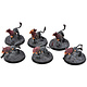 STORMCAST ETERNALS 6 Gryph-Hounds #1 Warhammer Sigmar