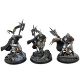 Games Workshop STORMCAST ETERNALS 3 Praetors #1 WELL PAINTED Warhammer Sigmar
