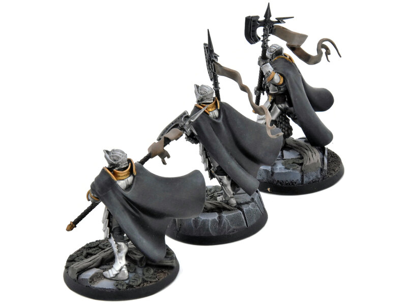 Games Workshop STORMCAST ETERNALS 3 Praetors #1 WELL PAINTED Warhammer Sigmar