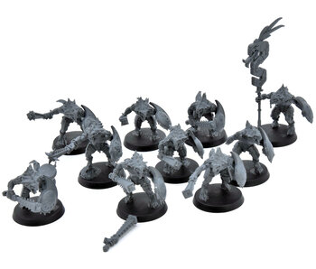 SERAPHONS 10 Saurus Warriors #1 Warhammer Sigmar