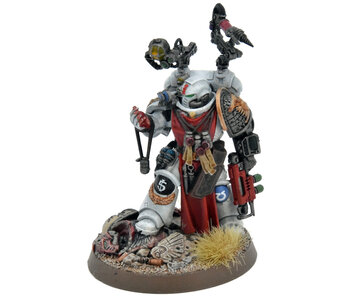 SPACE MARINES Apothecary #1 WELL PAINTED Warhammer 40K