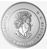 Monnaie Royale Canadienne $3 Heart of our Nation - Pure Silver Coin - 2017