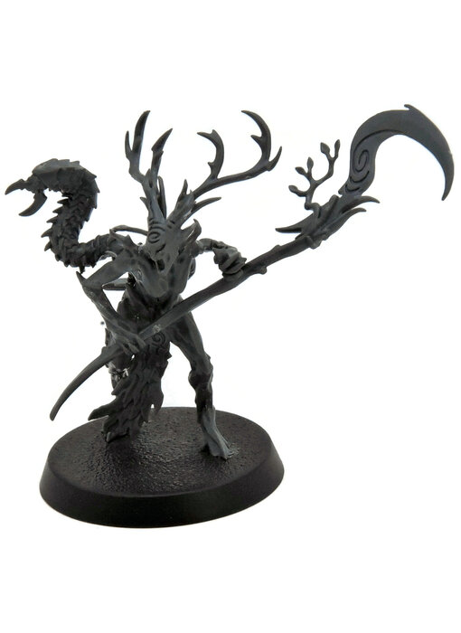 SYLVANETH Branchwych #1 Warhammer Sigmar