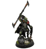Games Workshop TAU EMPIRE Kroot War Shaper PRO PAINTED Warhammer 40K