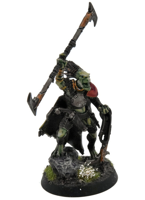 TAU EMPIRE Kroot War Shaper COMMISSION PRO PAINTED Warhammer 40K