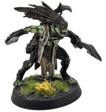 Games Workshop TAU EMPIRE Kroot Flesh Shaper COMMISSION PRO PAINTED Warhammer 40K