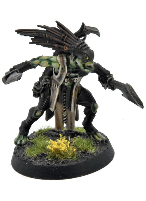TAU EMPIRE Kroot Flesh Shaper COMMISSION PRO PAINTED Warhammer 40K
