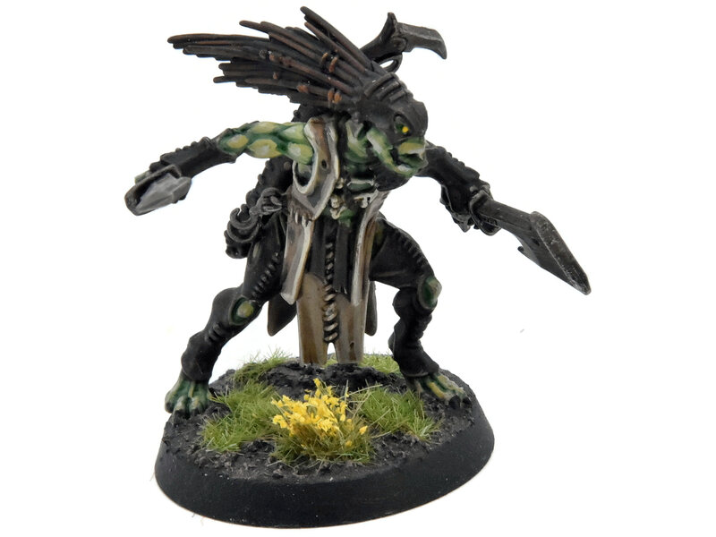 Games Workshop TAU EMPIRE Kroot Flesh Shaper COMMISSION PRO PAINTED Warhammer 40K